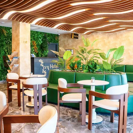 فندق Ivy 4*