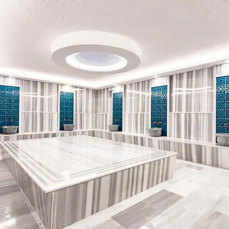 Ivy Otel 4*